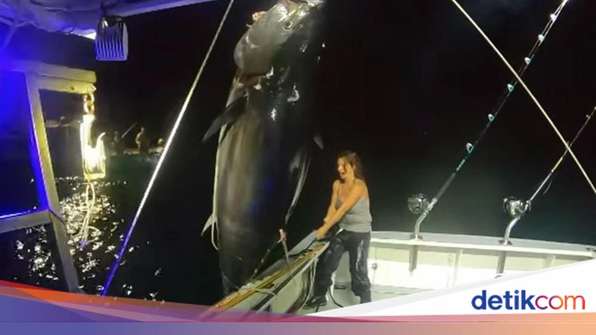 Woman standing on a fishing boat at night beside a large bluefin tuna she has hauled aboard.